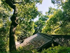 -吴山景区