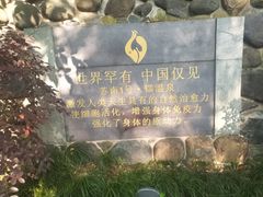 -张家港金凤凰度假村温泉