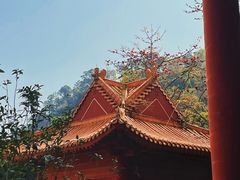 -南沙蒲洲花园