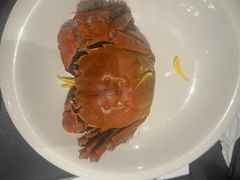 -蟹榭·本帮江浙菜·蟹宴(五角场合生汇商场店)