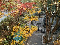 -紫金山天文台