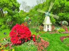 -上海共青森林公园