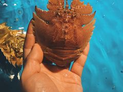 -拉完海鲜大排档(温岭店)