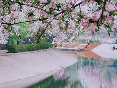 -海棠花溪(元大都城垣遗址公园)