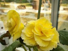 -常州花鸟园酒店(西太湖品牌优选店)