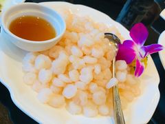 清炒野生湖虾仁-新南华大酒店(长寿店)