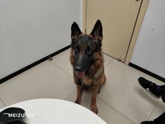 -艾贝尔宠物医院 ·中兽医·宠保定点(北门桥店)