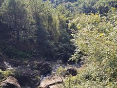 -广州白江湖森林公园