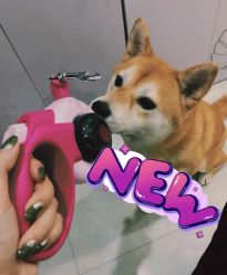 -LEILEI NAIL蕾蕾美甲美睫