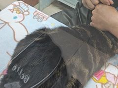 -芭比堂动物医院(广州爱宠下渡路分院)