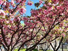 -元大都城垣遗址公园