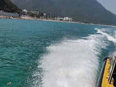-杨梅坑