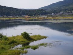 -腾冲北海湿地