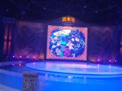 -哈尔滨波塞冬海底世界
