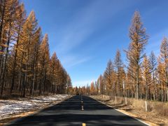 -塞罕坝国家级自然保护区