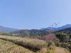 -象头山国家级自然保护区