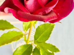 -卯火锅(人和协信店)