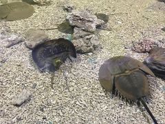 -重庆欢乐海底世界