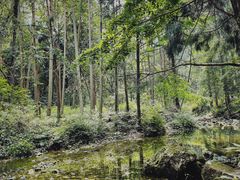 -雁荡山风景名胜区