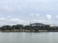 -羊山湖公园