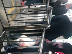 -少华山国家森林公园
