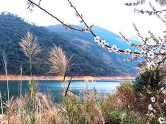 -广州市流溪河国家森林公园