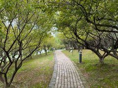 -白塘生态植物园