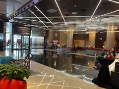 -南京禄口机场雅高铂尔曼大酒店