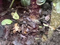 -上海昆虫博物馆