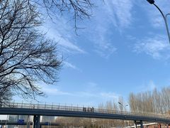 -蓝旗星台球俱乐部(海淀店)
