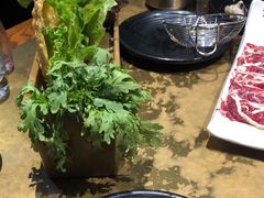 -手选潮汕鲜活牛肉火锅(二七广场店)