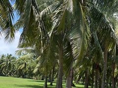 -白沙门生态公园