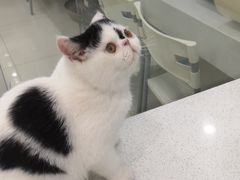 -乖乖乐动物医院(小汤山分院)