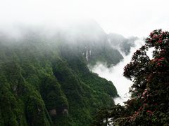 -峨眉山风景名胜区