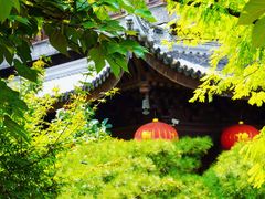 -龙华寺