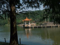 -深圳仙湖植物园