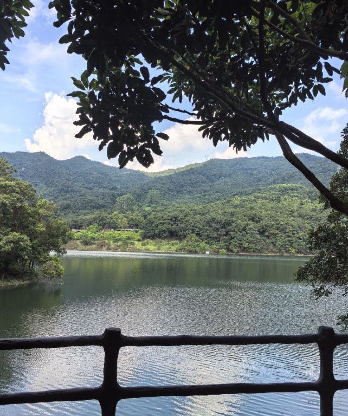 天竺山森林公园,位于海沧区东孚街道天空山