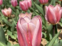 -廊坊文化艺术中心