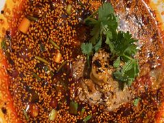 -院8里·少城记忆老川菜(宽窄巷子店)