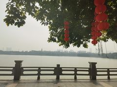 -海珠湖公园