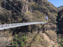 -藏山旅游风景区