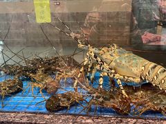 -聚福宝合苑食府(南头镇店)