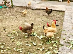 -苏州吴中太湖旅游区