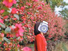 -西归浦每天偶来市场