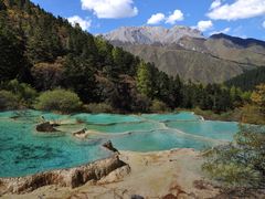 -黄龙山原始森林景区