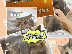 -猫咪派对(江南西店)