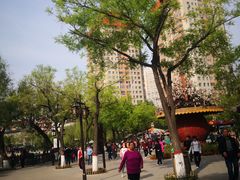 -文瀛公园