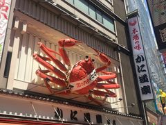 -蟹道乐(道顿堀本店)