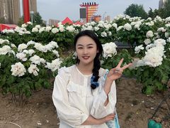 -曹州牡丹园