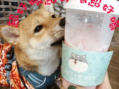 -野萃山·潮汕厚果汁(十亩地店)